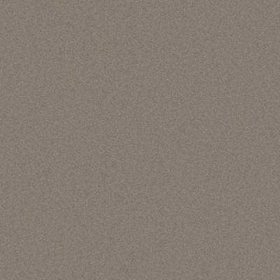 Alvic Syncron Cross Metal Champagne