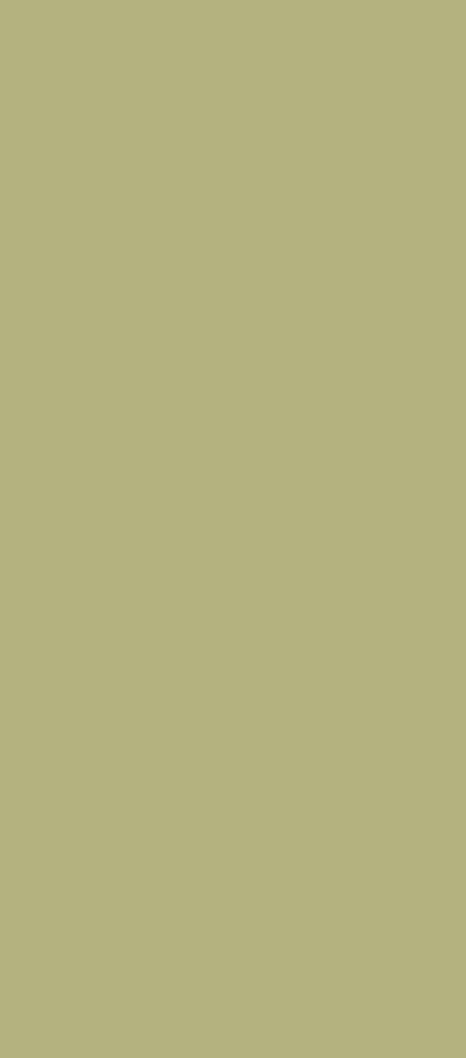 Dekor Verde Matcha