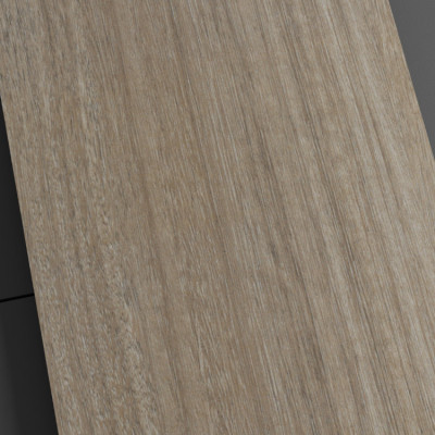 Compact Eucalipto Birmania 4603