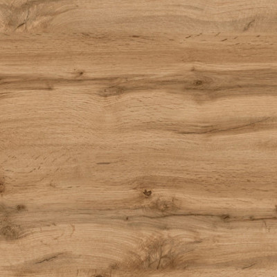 Compact Eureka Oak